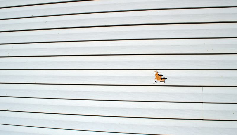 Expert Panel Replacement